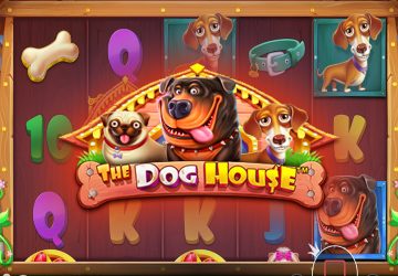 Игра The Dog House в ONX казино